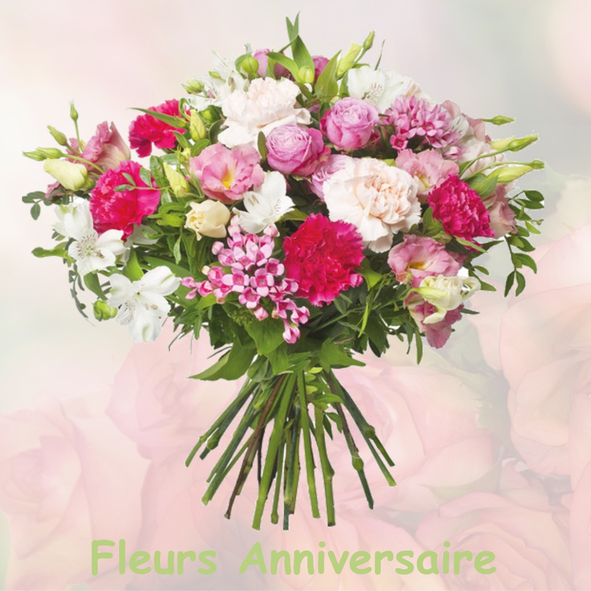 fleurs anniversaire VIEILLE-TOULOUSE