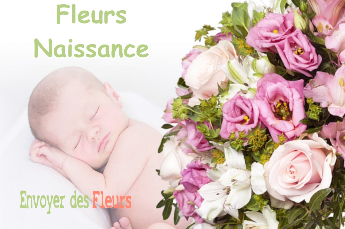 lIVRAISON FLEURS NAISSANCE à VIEILLE-TOULOUSE